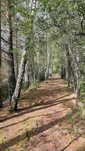 Brooklynn Guest House Grantown-on-Spey Εξωτερικό φωτογραφία